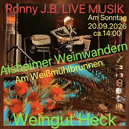 Ronny J.B. Live Musik